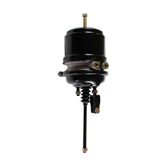 2253030101 - Spring-loaded Cylinder 