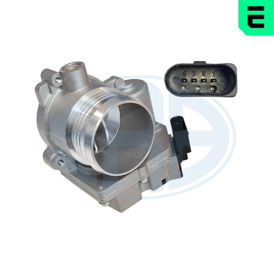 Throttle body