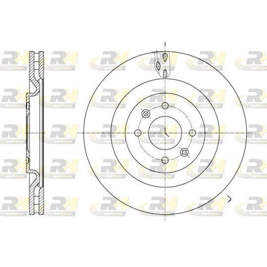 61667.10 - Brake Disc 