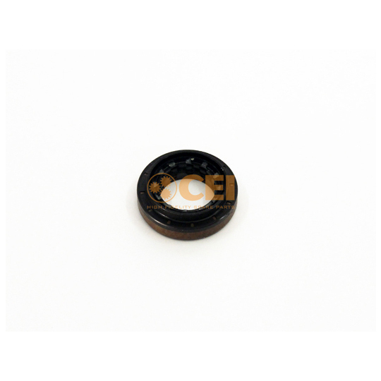 239.411 - Shaft Seal, differential 