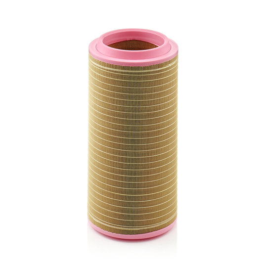 C 30 810/2 - Air filter 