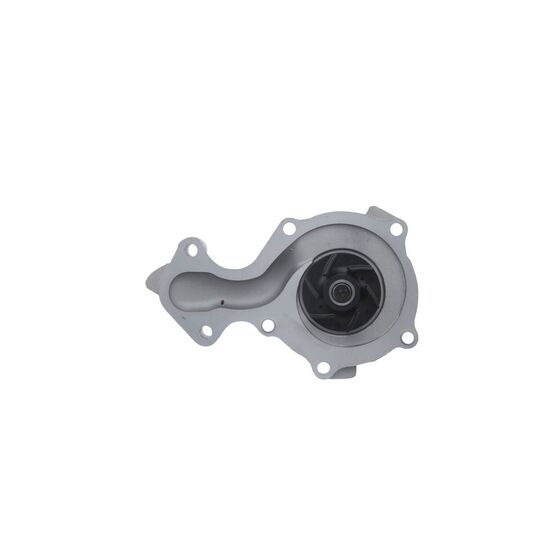 529207 - Water Pump 