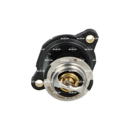 725429 - Thermostat, coolant 