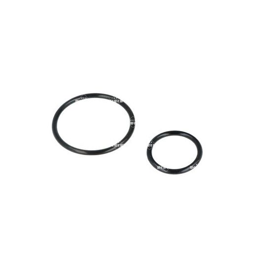 725429 - Thermostat, coolant 
