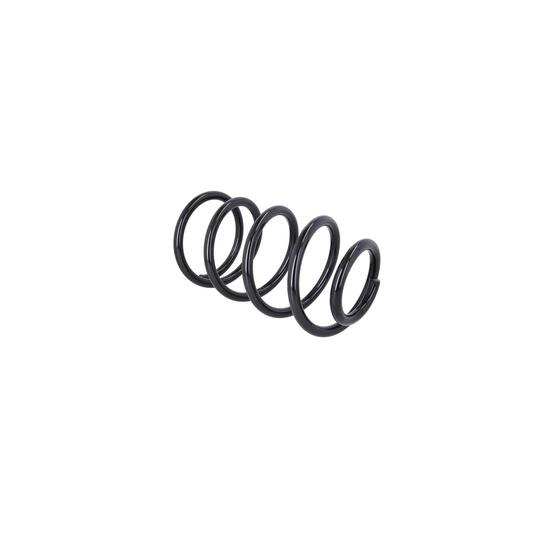 2110511 - Coil Spring 