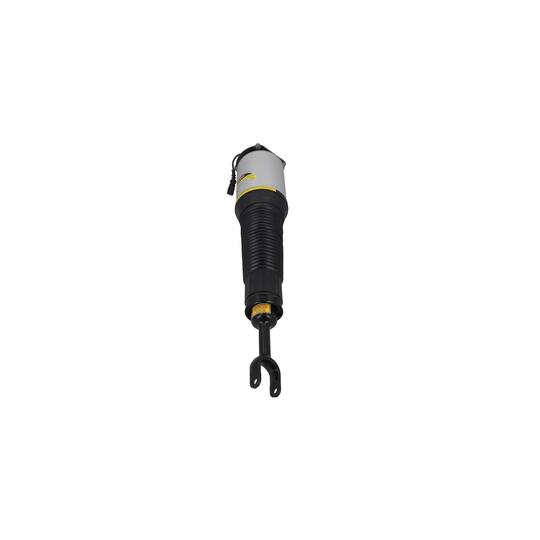 2070042 - Air Suspension Strut 
