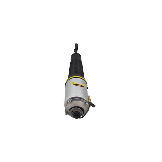 2070042 - Air Suspension Strut 