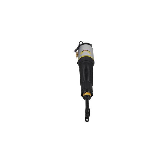 2070042 - Air Suspension Strut 