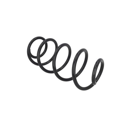 2110399 - Coil Spring 