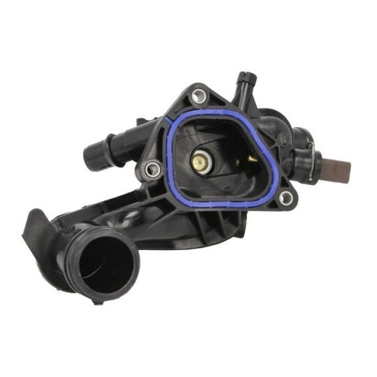 D2P009TT - Thermostat, coolant 