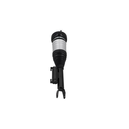 2070059 - Air Suspension Strut 