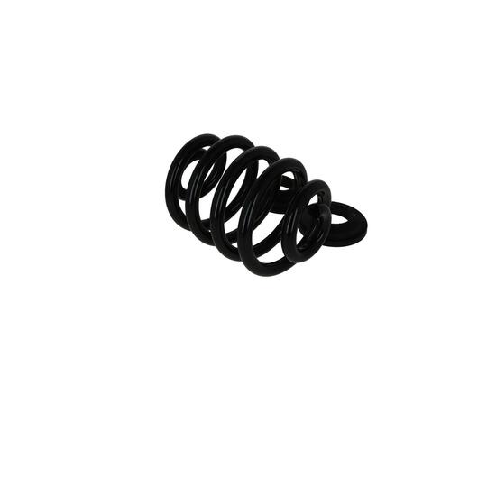 2120731 - Coil Spring 