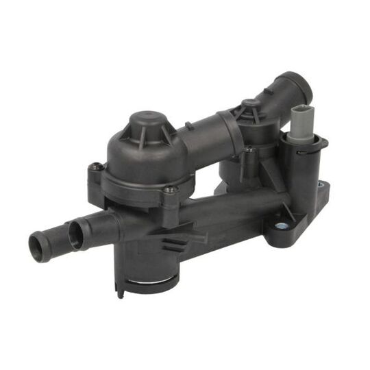D2W013TT - Thermostat, coolant 