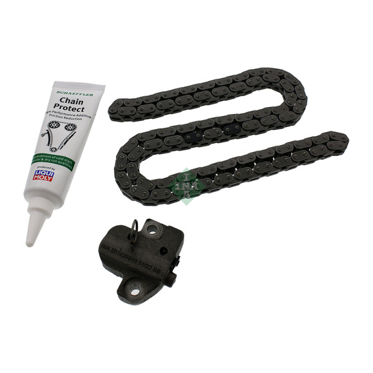559 1717 10 - Timing Chain Kit 
