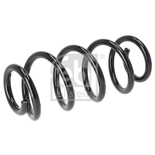 196291 - Coil Spring 