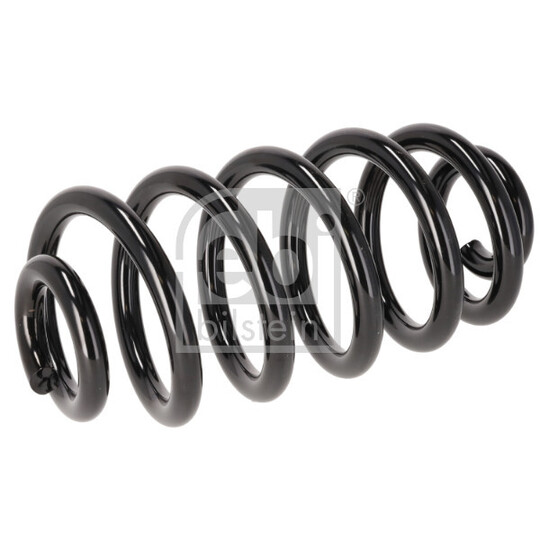 196208 - Coil Spring 