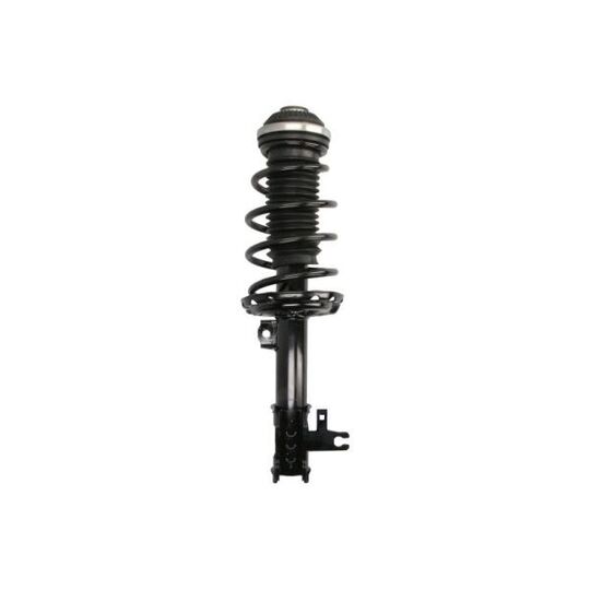 Suspension Kit, springs/shock absorbers