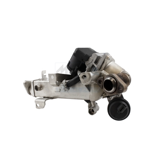 EGR Module