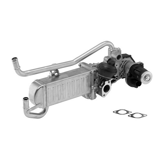710863D/1 - EGR Module 