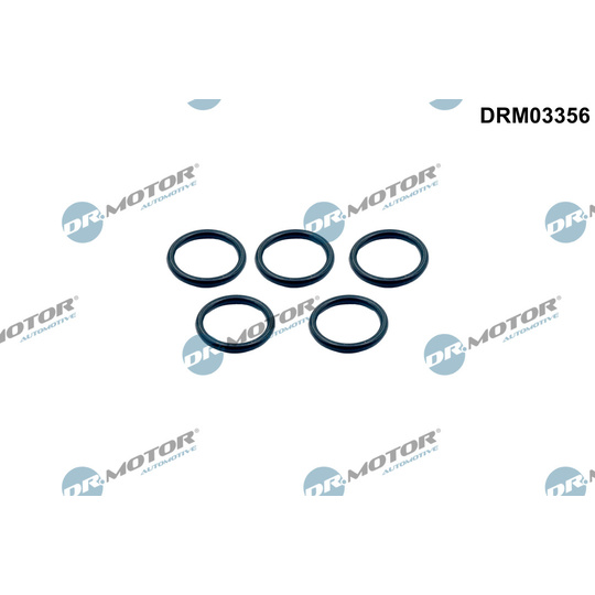 DRM03356 - Seal Ring 