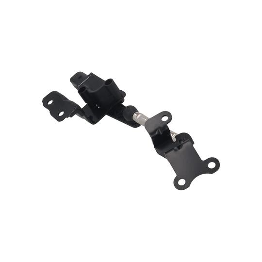 4310013 - Sensor, headlight levelling 