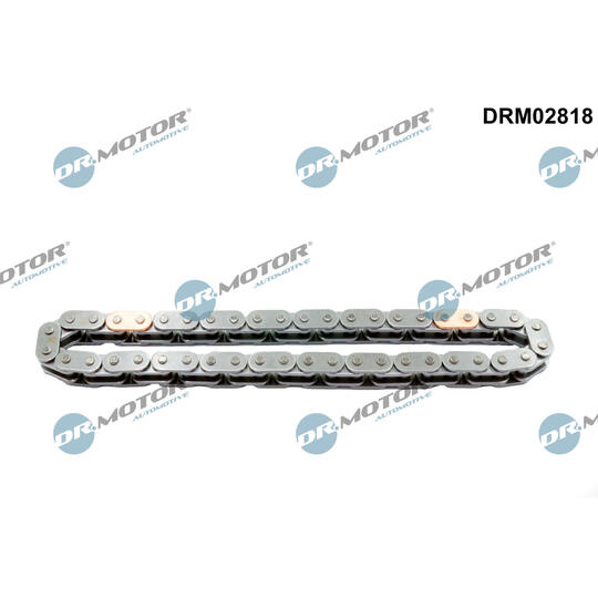 DRM02818 - Timing Chain 