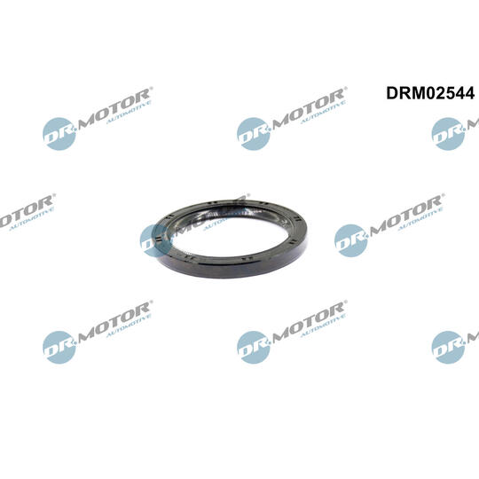 Shaft Seal, camshaft