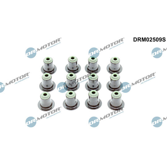 DRM02509S - Seal Set, valve stem 