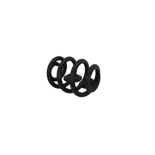 2120735 - Coil Spring 
