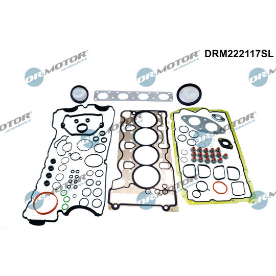 DRM222117SL - Full Gasket Set, engine 