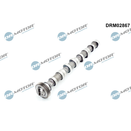 Camshaft