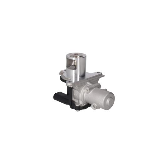19055 - EGR Valve 