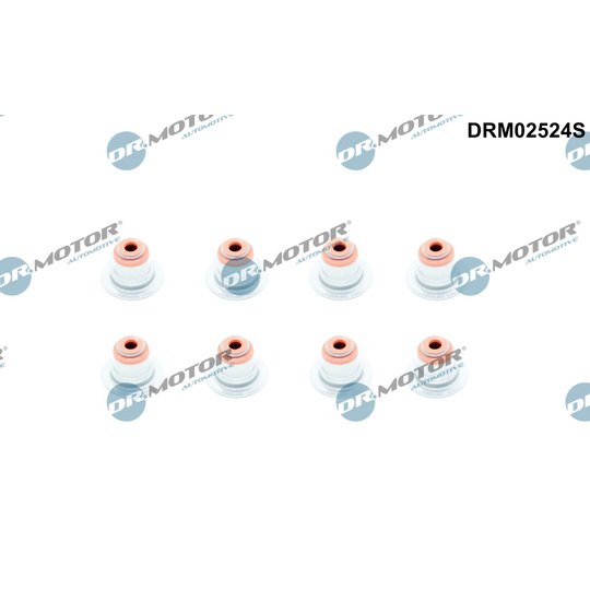 DRM02524S - Seal Set, valve stem 