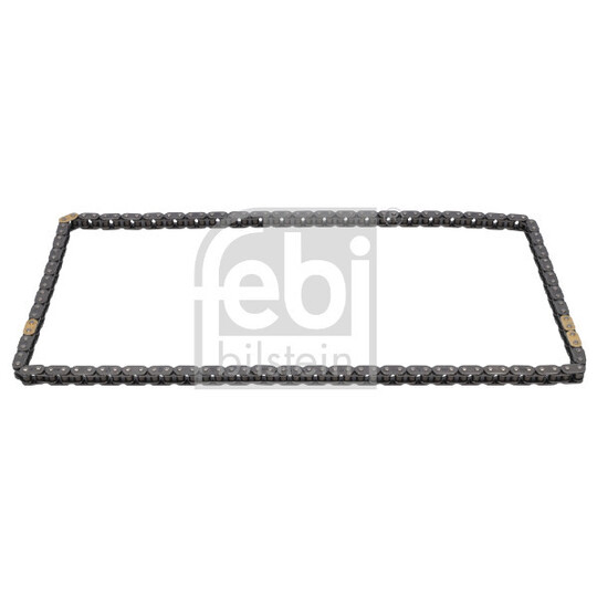 198186 - Timing Chain 