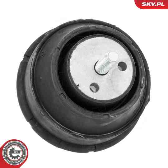 75SKV189 - Mounting, engine 
