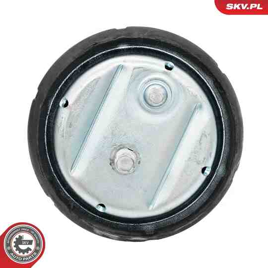75SKV189 - Mounting, engine 