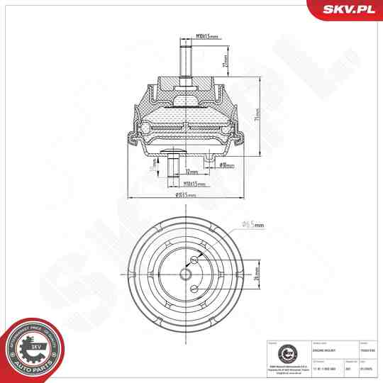75SKV189 - Mounting, engine 
