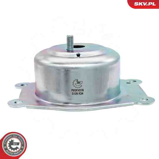 75SKV216 - Mounting, engine 