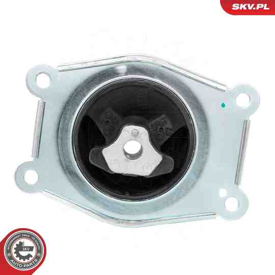 75SKV216 - Mounting, engine 