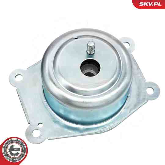 75SKV216 - Mounting, engine 