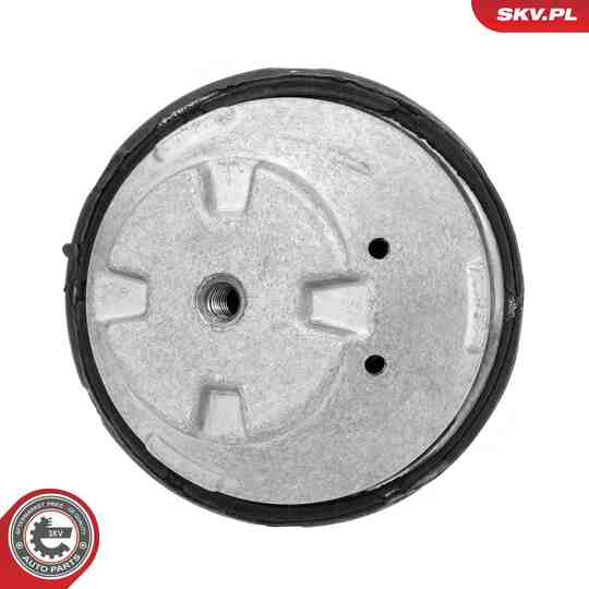 75SKV155 - Mounting, engine 