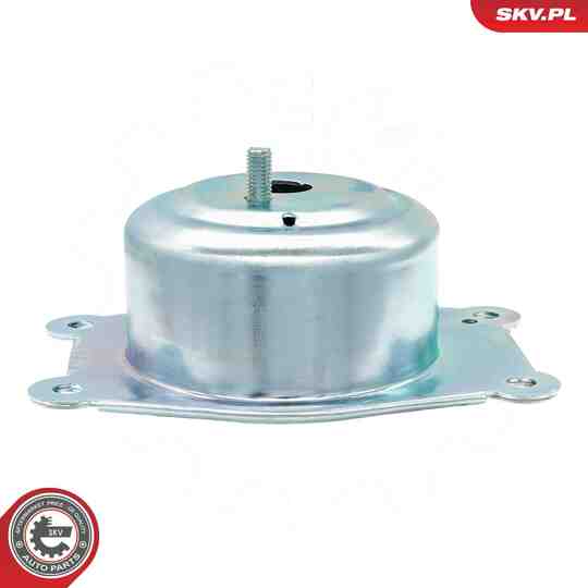 75SKV135 - Mounting, engine 