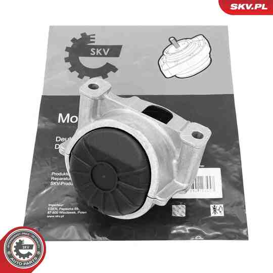 75SKV171 - Mounting, engine 