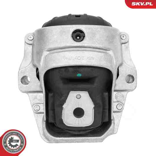 75SKV171 - Mounting, engine 