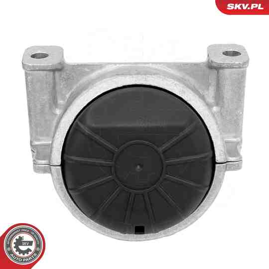 75SKV171 - Mounting, engine 