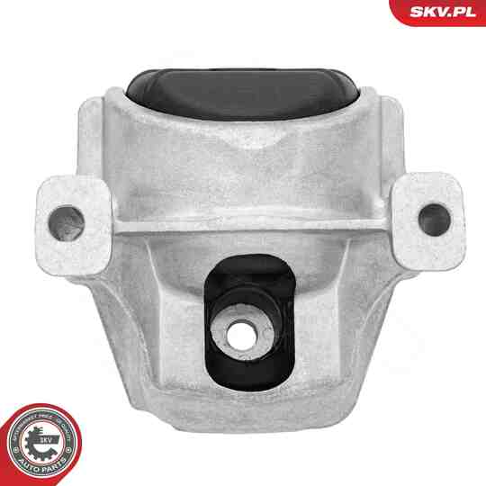 75SKV171 - Mounting, engine 