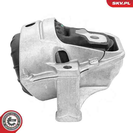 75SKV171 - Mounting, engine 