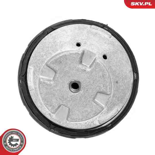 75SKV146 - Mounting, engine 