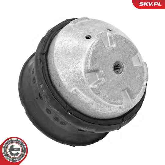75SKV146 - Mounting, engine 