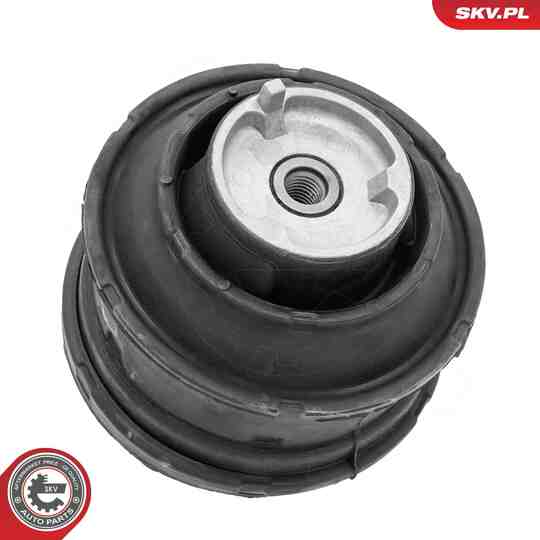 75SKV146 - Mounting, engine 